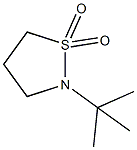 N-t-Butyl 1,1-dioxo-isothiazolidine CAS#: 34693-41-9