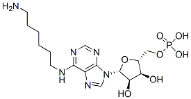 N(6)-aminohexyladenosine monophosphate CAS#: 38198-98-0
