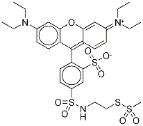 SULFORHODAMINE METHANETHIOSULFONATE CAS#: 386229-71-6