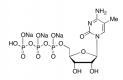 Structure of 5-Methylcytidine 5'-Triphosphate (CPT) Trisodium Salt CAS 327174-86-7