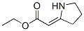 (Z)-ETHYL 2-(PYRROLIDIN-2-YLIDENE)ACETATE CAS#: 35150-22-2