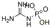 amidinophosphoramidic acid CAS#: 3019-36-1