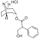 atropine hydrochloride CAS#: 33952-38-4