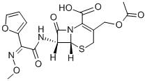 cefuracetime CAS#: 39685-31-9