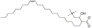 erucylcarnitine CAS#: 36168-22-6