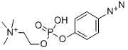 p-Diazonium Phenylphosphorylcholine CAS#: 35697-91-7