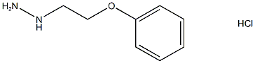 1-(2-phenoxyethyl)hydrazine CAS#: 4230-21-1