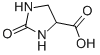 2-IMIDAZOLIDONE-4-CARBOXYLIC ACID CAS#: 41371-53-3