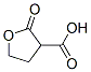 2-oxooxolane-3-carboxylic acid CAS#: 4360-91-2