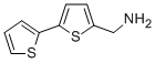 2,2'-BITHIOPHENE-5-METHYLAMINE CAS#: 4380-96-5