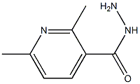 2,6-DiMethyl-3-pyridinecarboxylic Acid Hydrazide CAS#: 42732-52-5