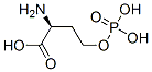(2S)-2-amino-4-phosphonooxy-butanoic acid CAS#: 4210-66-6