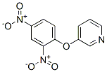 3-(2,4-DINITROPHENOXY)PYRIDINE CAS#: 40604-27-1