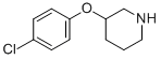 3-(4-CHLOROPHENOXY)PIPERIDINE CAS#: 384346-27-4