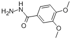 3,4-DIMETHOXYBENZHYDRAZIDE CAS#: 41764-74-3
