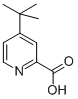 4-TERT-BUTYLPICOLINIC ACID CAS#: 42205-74-3