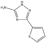 5-THIEN-2-YL-4H-1,2,4-TRIAZOL-3-AMINE CAS#: 4922-99-0