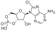 8-CHLORO-CAMP CAS#: 41941-56-4