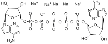 A[5']P5[5']A SODIUM SALT CAS#: 4097-04-5