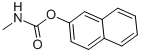 BETA-CARBARYL CAS#: 4089-04-7
