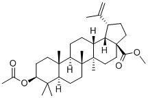 Methyl-3b-acetoxybetulinate CAS#: 4356-30-3