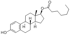 Oestradiol 17-heptanoate CAS#: 4956-37-0