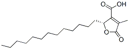 (R)-2-tridecyl-2,5-dihydro-4-methyl-5-oxo-3-furoic acid CAS#: 70579-62-3