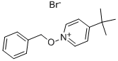 1-BENZYLOXY-4-(TERT-BUTYL)PYRIDINIUM BROMIDE CAS#: 55930-28-4
