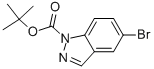 1-BOC-5-BROMO-INDAZOLE CAS#: 552331-49-4