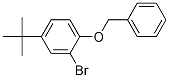 1-Benzyloxy-2-broMo-4-t-butylbenzene CAS#: 52458-11-4