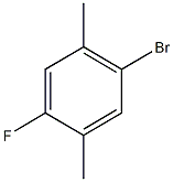1-Bromo-4-fluoro-2,5-dimethylbenzene CAS#: 51760-04-4