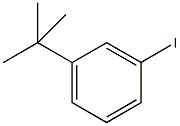 1-IODO-3-TERT-BUTYLBENZENE CAS#: 58164-02-6