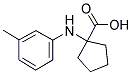 1-M-TOLYLAMINO-CYCLOPENTANECARBOXYLIC ACID CAS#: 500283-74-9
