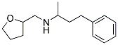 (1-METHYL-3-PHENYL-PROPYL)-(TETRAHYDRO-FURAN-2-YLMETHYL)-AMINE CAS#: 416866-88-1