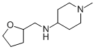 (1-METHYL-PIPERIDIN-4-YL)-(TETRAHYDRO-FURAN-2-YL-METHYL)-AMINE CAS#: 416869-66-4