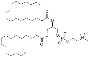 1-PALMITOYL-2-STEAROYL-SN-GLYCERO-3-PHOSPHOCHOLINE CAS#: 59403-51-9