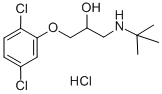 1-(tert-butylamino)-3-(2,5-dichlorophenoxy)propan-2-ol hydrochloride CAS#: 54247-25-5