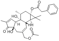 12-DEOXYPHORBOL 13-PHENYLACETATE 20-ACETATE CAS#: 54662-30-5