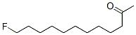 12-Fluoro-2-dodecanone CAS#: 593-09-9