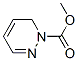 1(6H)-Pyridazinecarboxylicacid,methylester(9CI) CAS#: 55306-94-0
