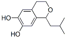 1H-2-Benzopyran-6,7-diol, 3,4-dihydro-1-(2-methylpropyl)- (9CI) CAS#: 459426-83-6
