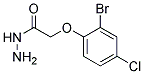 2-(2-BROMO-4-CHLOROPHENOXY)ACETOHYDRAZIDE CAS#: 443908-11-0