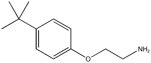 2-(4-TERT-BUTYLPHENOXY)ETHANAMINE HYDROCHLORIDE CAS#: 50634-73-6