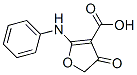 2-ANILINO-4-OXO-4,5-DIHYDROFURAN-3-CARBOXYLIC ACID CAS#: 58337-23-8
