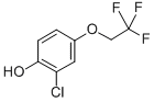 2-CHLORO-4-(2,2,2-TRIFLUOROETHOXY)PHENOL CAS#: 444341-80-4