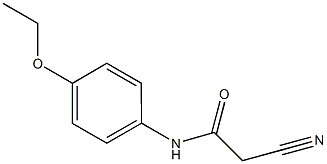 2-CYANO-N-(4-ETHOXY-PHENYL)-ACETAMIDE CAS#: 51838-07-4