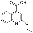2-Ethoxy cinchoninic acid CAS#: 5467-62-9