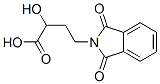 2-HYDROXY-4-(PHTHALIMIDO)BUTANOIC ACID CAS#: 54883-87-3