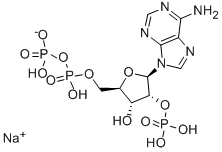 2'-MONOPHOSPHOADENOSINE 5'-*DIPHOSPHORIBOSE SODIUM CAS#: 53595-18-9
