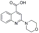 2-MORPHOLIN-4-YL-QUINOLINE-4-CARBOXYLIC ACID CAS#: 449764-66-3